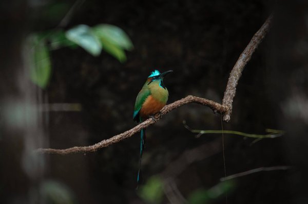 les chansons les plus entraînantes pour faire du sport