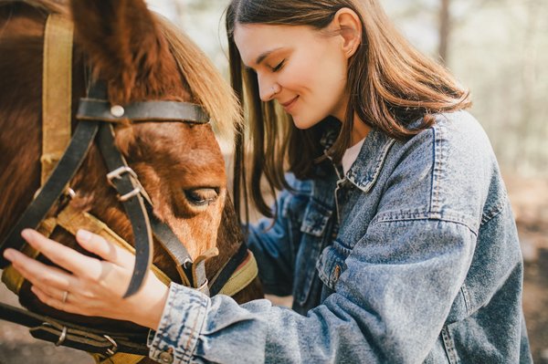 Les techniques de soins post-ride pour garder votre cheval en pleine forme