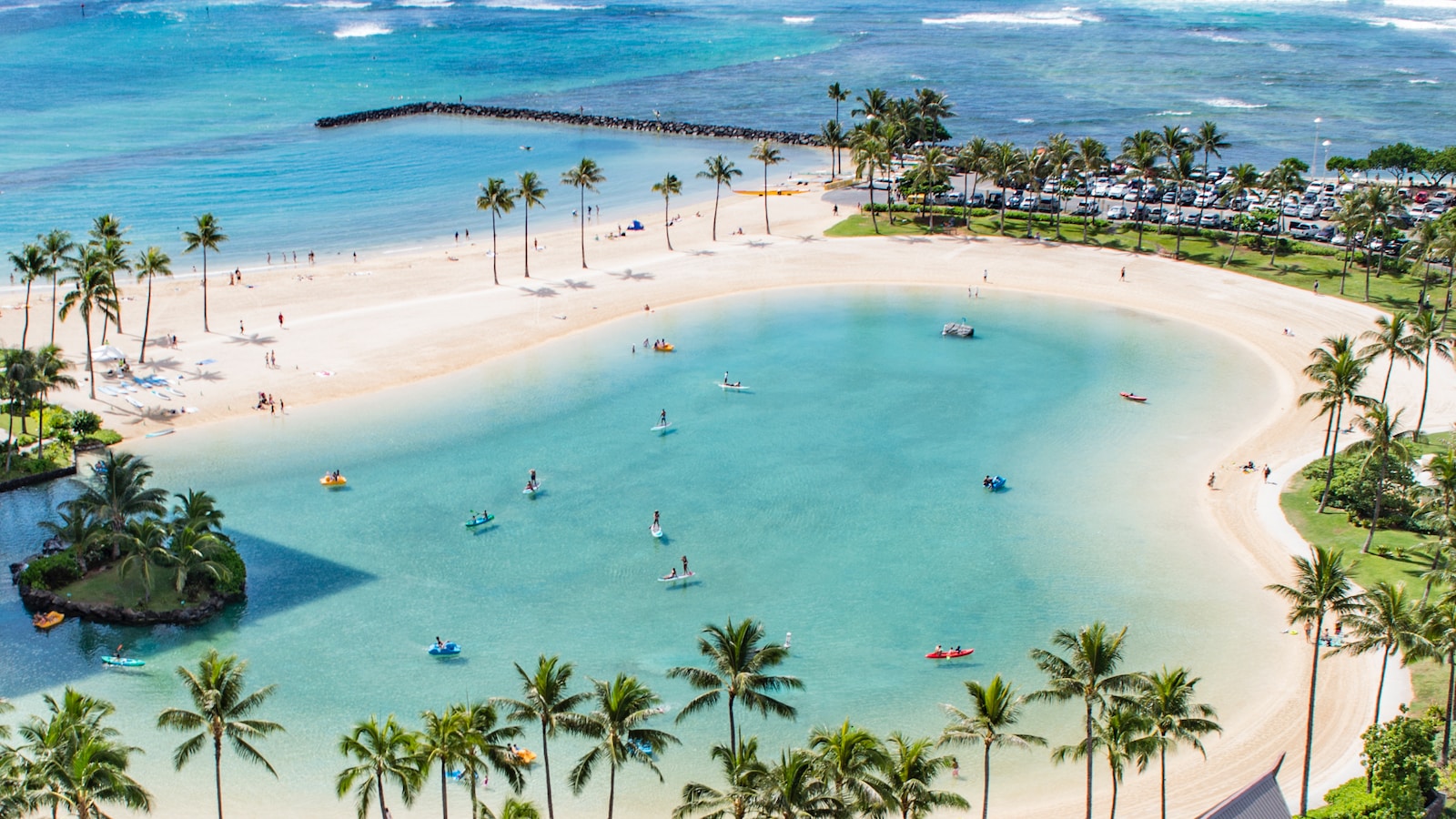 aerial photo people in beach at daytime